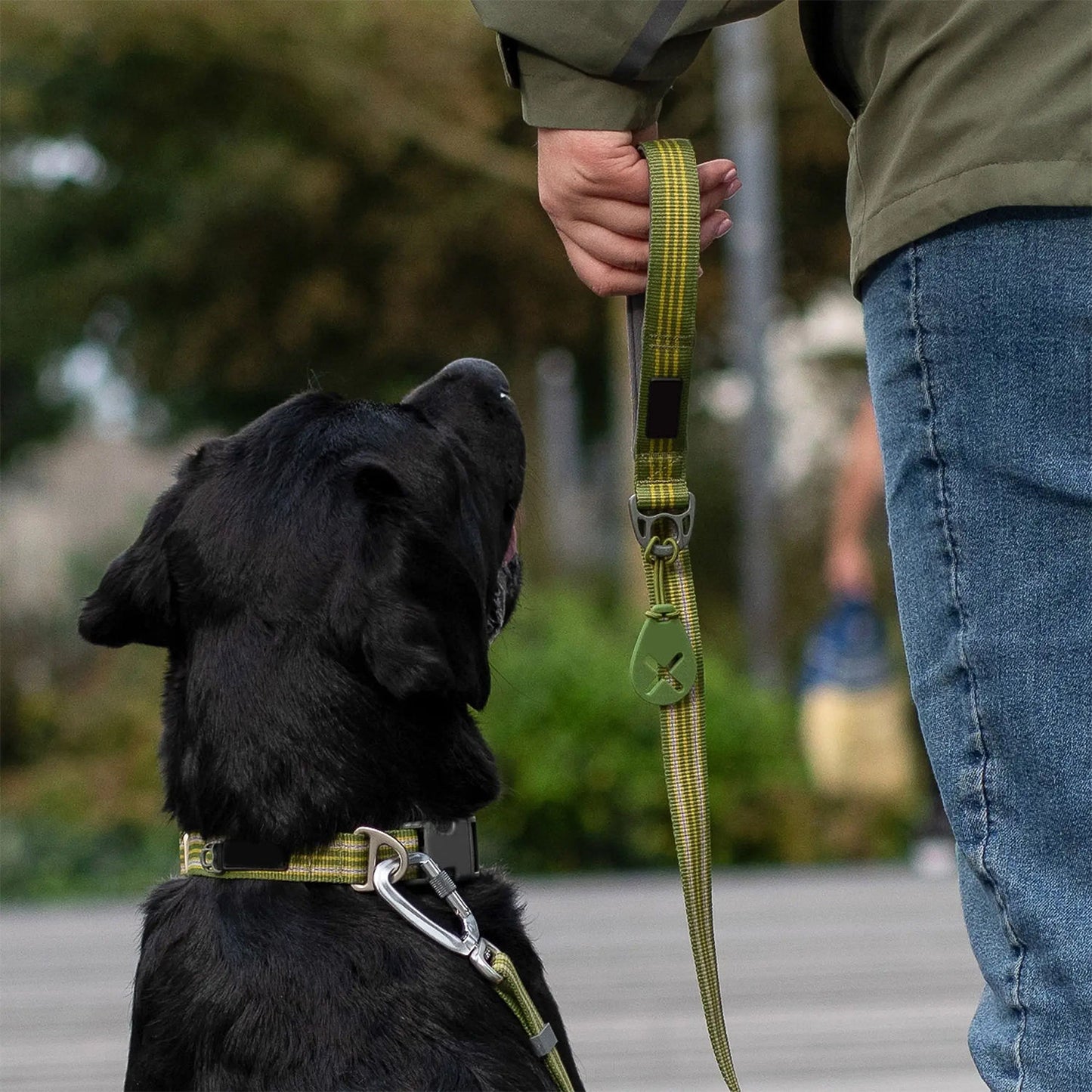Heavy-Duty Nylon Training Leash — No-Pull, Shock-Absorbing Lead for Large Dogs