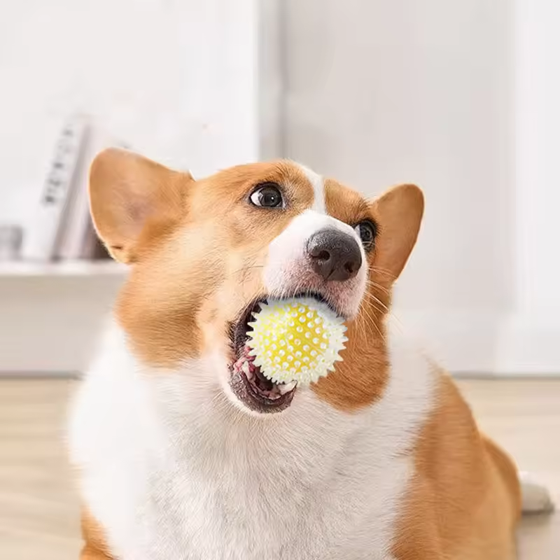 Spiky Squeaky Chew Ball — Teeth-Cleaning Rubber Toy for Medium & Active Dogs