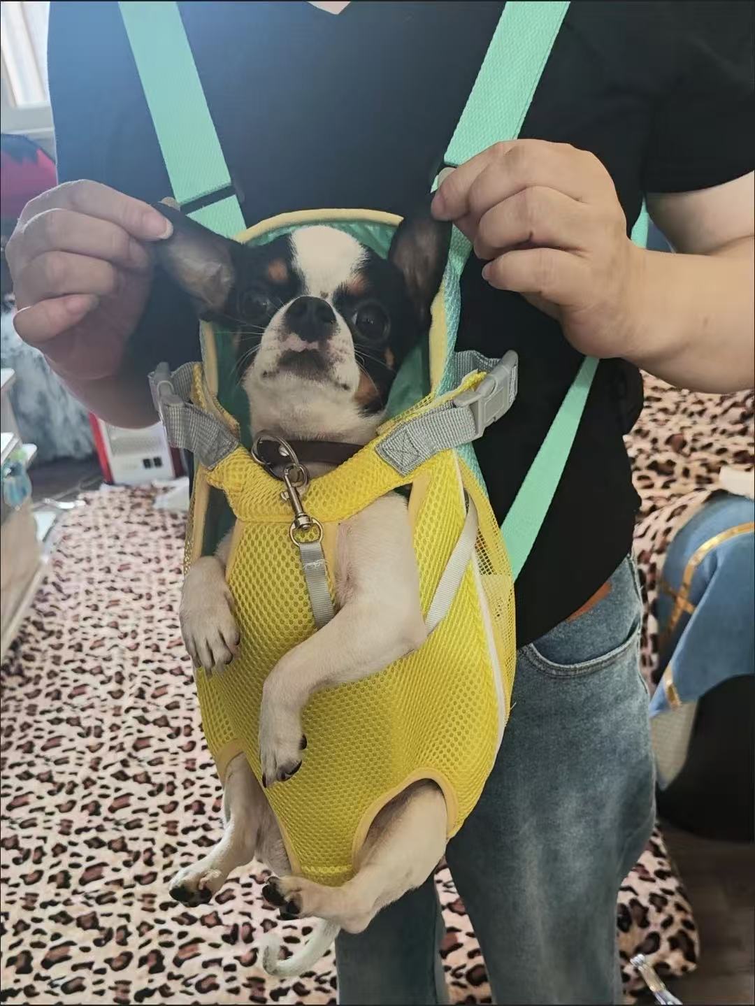 Soft & Breathable Pet Backpack Carrier with Four-Leg Openings – Foldable and Travel-Friendly