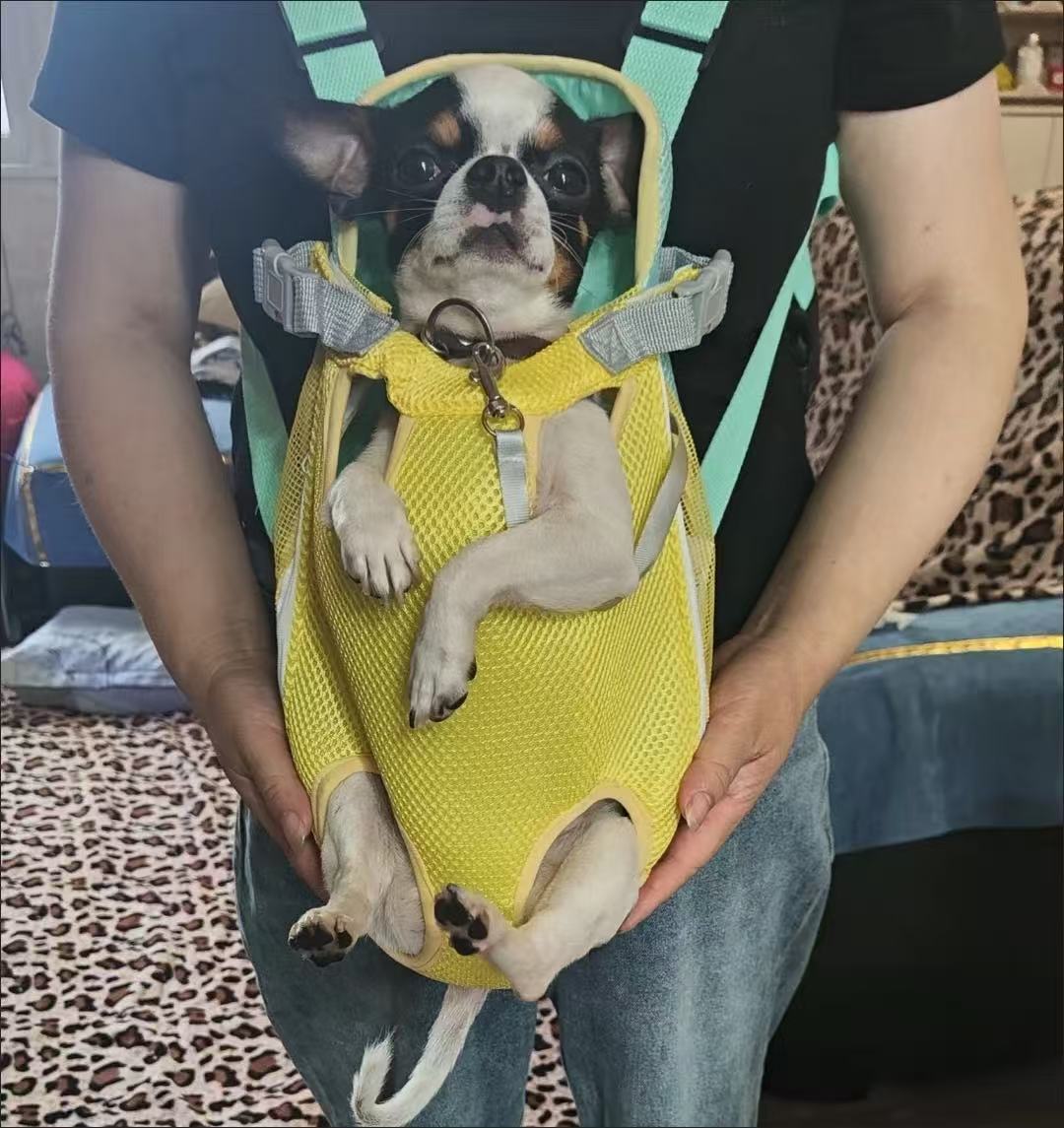 Soft & Breathable Pet Backpack Carrier with Four-Leg Openings – Foldable and Travel-Friendly